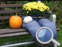 Autumn Garden - Find 100 butterflies image